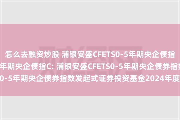 怎么去融资炒股 浦银安盛CFETS0-5年期央企债指A,浦银安盛CFETS0-5年期央企债指C: 浦银安盛CFETS0-5年期央企债券指数发起式证券投资基金2024年度分红公告