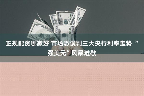 正规配资哪家好 市场恐误判三大央行利率走势 “强美元”风暴难歇