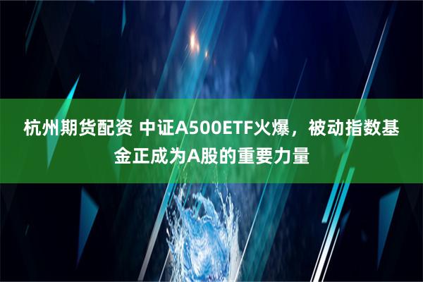 杭州期货配资 中证A500ETF火爆，被动指数基金正成为A股的重要力量