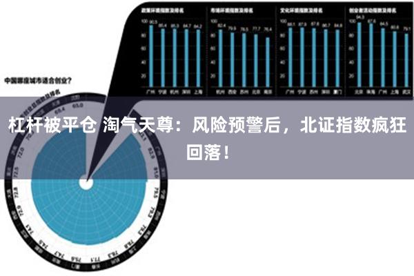 杠杆被平仓 淘气天尊：风险预警后，北证指数疯狂回落！