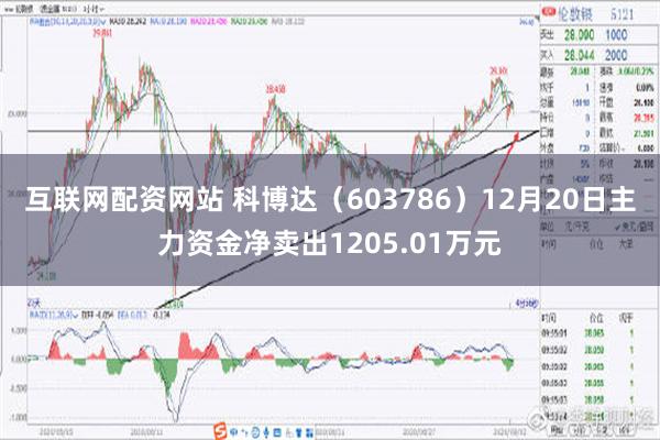 互联网配资网站 科博达（603786）12月20日主力资金净卖出1205.01万元