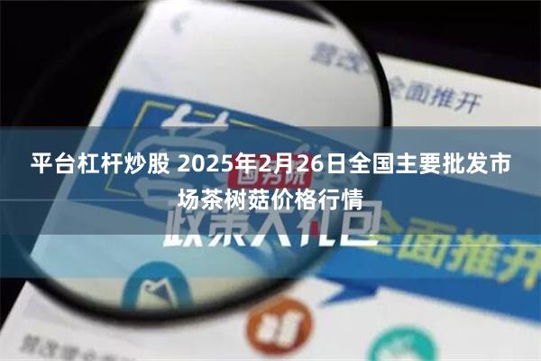 平台杠杆炒股 2025年2月26日全国主要批发市场茶树菇价格行情